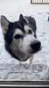 kjkar's profile picture