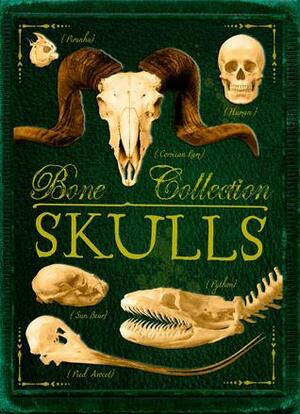 Bone Collection: Skulls by Rob Scott Colson