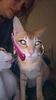 hallokatz's profile picture