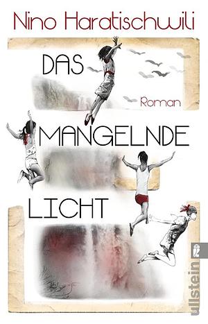 Das mangelnde Licht: Roman by Nino Haratischwili