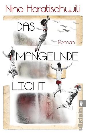 Das mangelnde Licht: Roman | Der jüngste Roman der großen georgisch-deutschen Erzählerin - wochenlang auf der Bestsellerliste und von Kritikern hoch gelobt by Nino Haratischwili