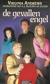 Cover van De gevallen engel