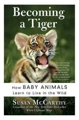 Becoming a Tiger: How Baby Animals Learn to Live in the Wild by Susan McCarthy