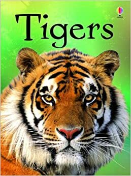 Tigers by James MacLaine