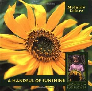 A Handful of Sunshine- Growing a Sunflower by Melanie Eclare