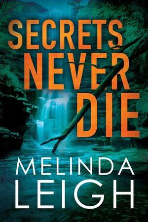 Secrets Never Die by Melinda Leigh