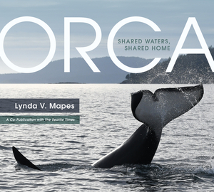 Orca: Shared Waters, Shared Home by Lynda V. Mapes, Steve Ringman