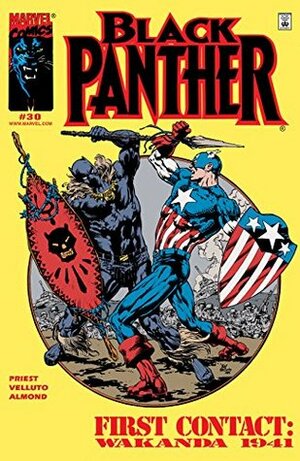 Black Panther #30 by Sal Velluto, Christopher J. Priest, Norm Breyfogle