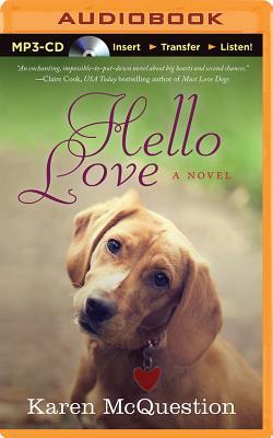 Hello Love by Karen McQuestion