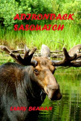 Adirondack Sasquatch by Larry Beahan