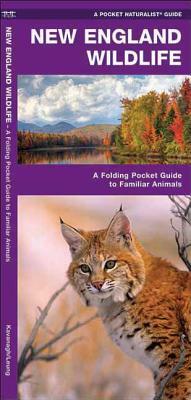 New England Wildlife: A Folding Pocket Guide to Familiar Species by Waterford Press, James Kavanagh