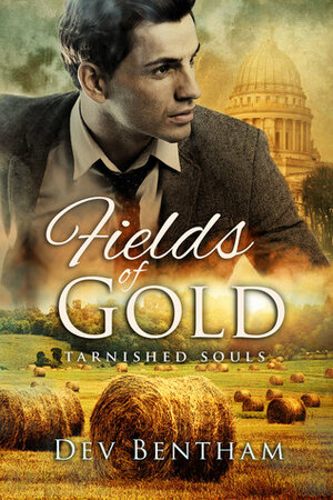 Fields of Gold by Dev Bentham