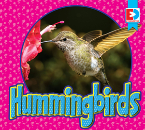 Hummingbirds by Maria Koran