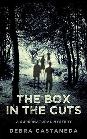 The Box in The Cuts: A Supernatural Mystery by Debra Castaneda