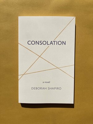 Consolation  by Deborah Shapiro
