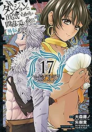 ダンジョンに出会いを求めるのは間違っているだろうか 外伝 ソード・オラトリア 17 by Suzuhito Yasuda, Fujino Omori, Kiyotaka Haimura