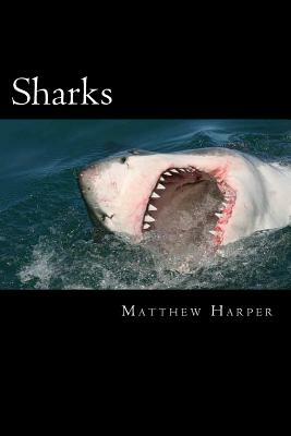 Sharks: A Fascinating Book Containing Shark Facts, Trivia, Images & Memory Recall Quiz: Suitable for Adults & Children by Matthew Harper