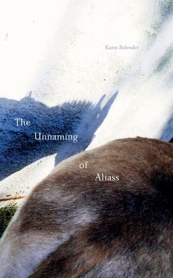 The Unnaming of Aliass by Karin Bolender
