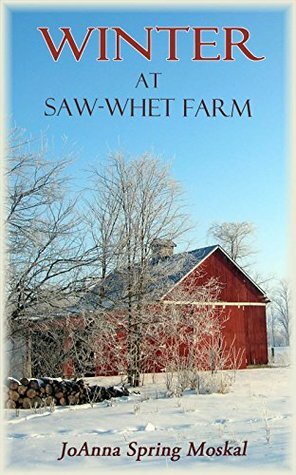 Winter at Saw-whet Farm by JoAnna Moskal