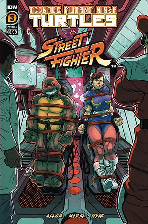 Teenage Mutant Ninja Turtles vs. Street Fighter #3 by Paul Allor