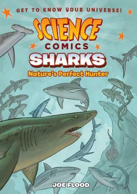 Science Comics: Sharks: Nature's Perfect Hunter by Joe Flood