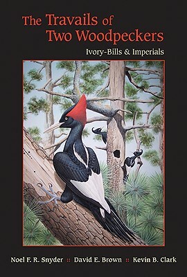 The Travails of Two Woodpeckers: Ivory-Bills & Imperials by Kevin B. Clark, David E. Brown, Noel F. R. Snyder