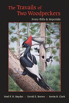 The Travails of Two Woodpeckers: Ivory-Bills & Imperials by David E. Brown, Kevin B. Clark, Noel F. R. Snyder