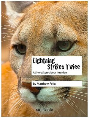 Lightning Strikes Twice: A Short Story about Intuition by Matthew Felix