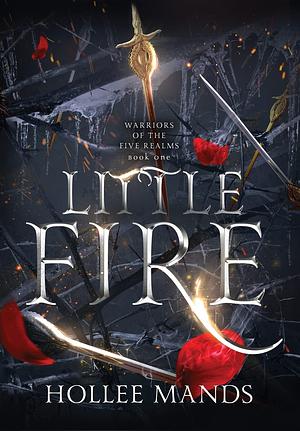 Little Fire by Hollee Mands