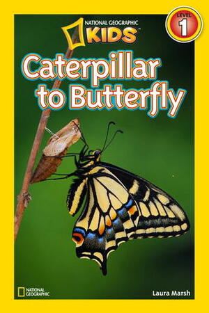 Caterpillar to Butterfly by Laura Marsh