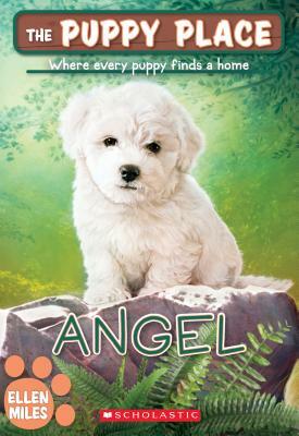 Angel (the Puppy Place #46), Volume 46 by Ellen Miles