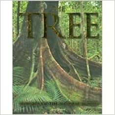 The Tree: Wonder of the Natural World by Jenny Linford