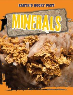 Minerals by Richard Spilsbury