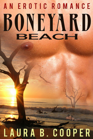 Boneyard Beach by Laura B. Cooper