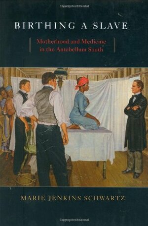 Birthing a Slave: Motherhood and Medicine in the Antebellum South by Marie Jenkins Schwartz