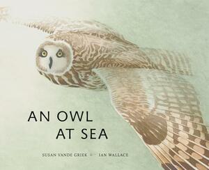 An Owl at Sea by Susan Vande Griek