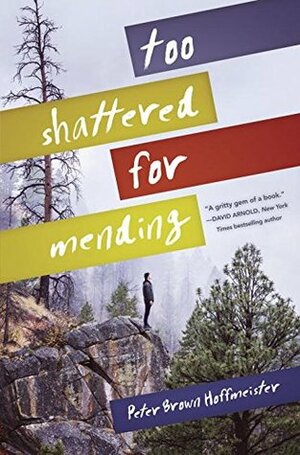 Too Shattered for Mending by Peter Brown Hoffmeister