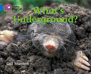 What's Underground? by Gill Munton