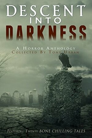 Descent Into Darkness by Cindy Carroll, Patrick Logan, Sylvester Barzey, Max Lockwood, R.L. Blalock, Tony Urban, Delia Rai, Joe Jackson, Amanda Luzzader, Paul B. Kohler, Shayne Rutherford, E.E. Isherwood, Steve Vernon, Rachel McClellan, David J. Schmidt, C.A. Verstraete, G.M. Sherwin, Brian J.W. Lee