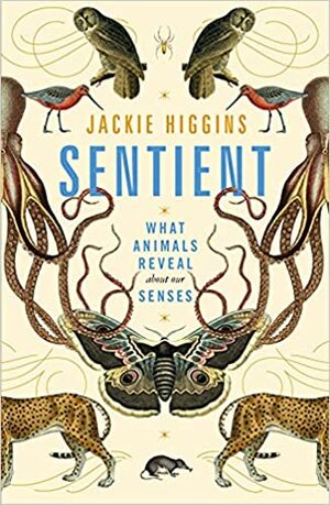 Sentient: What Animals Reveal About Our Senses by Jackie Higgins