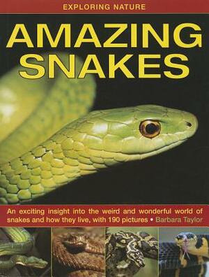 Exploring Nature: Amazing Snakes: An Exciting Insight Into the Weird and Wonderful World of Snakes and How They Live, with 190 Pictures by Barbara Taylor