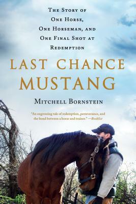 Last Chance Mustang: The Story of One Horse, One Horseman, and One Final Shot at Redemption by Mitchell Bornstein