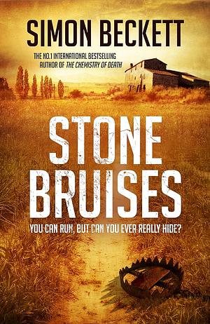 Stone Bruises: You Can Run, But Can You Ever Really Hide? by Simon Beckett, Simon Beckett