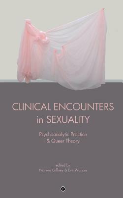 Clinical Encounters in Sexuality: Psychoanalytic Practice and Queer Theory by Noreen Giffney