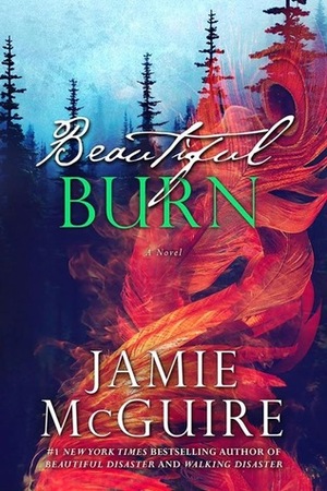 Beautiful Burn by Jamie McGuire