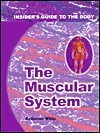 Muscular System by Katherine White