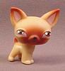 mazzologies's profile picture