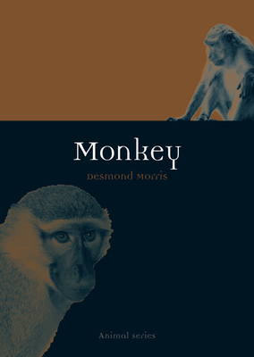 Monkey by Desmond Morris