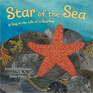 Star of the Sea: A Day in the Life of a Starfish by Joan Paley, Janet Halfmann