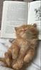 caro_prieto's profile picture